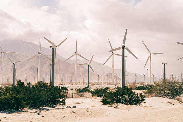 Sustainability: What and Why