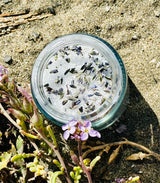 Mermaid Bath: Lavender Eucalyptus Soak