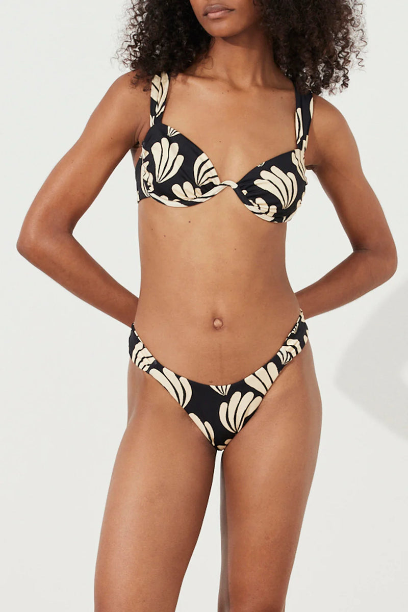 PALM ROUCHED SIDE CURVE BRIEF