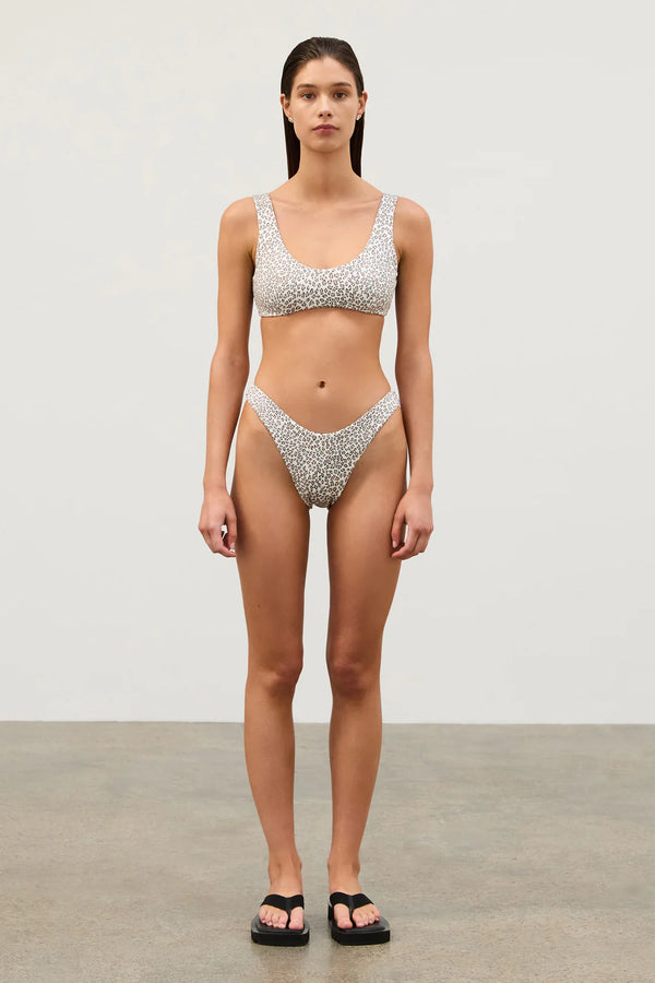 Micro Leopard Curve Brief