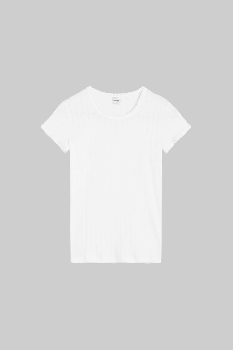 Pointelle Slim Fit Tee - White