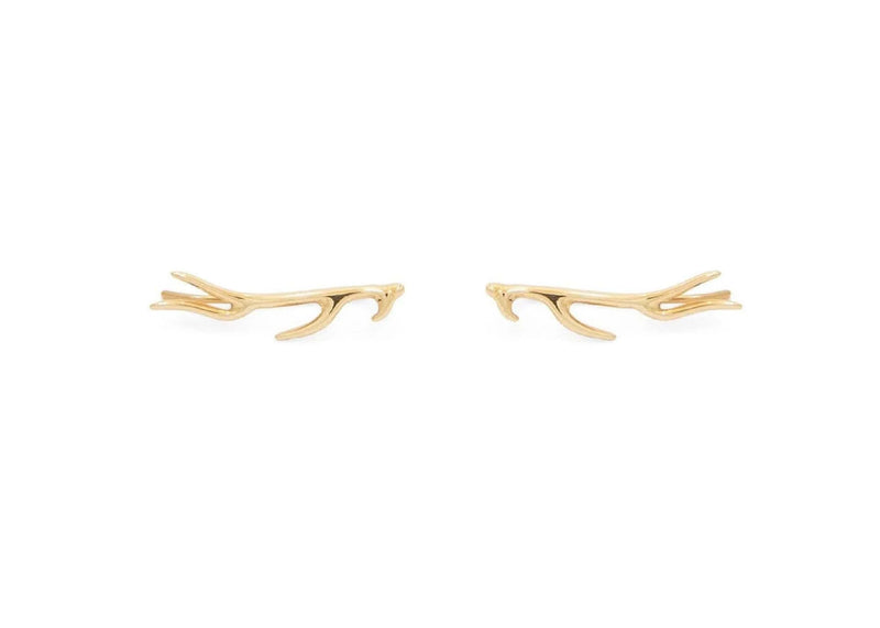 Sea Flora Ear Crawlers