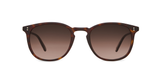 Kinney - Bio Cookie Tortoise
