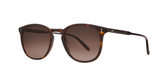 Kinney - Bio Cookie Tortoise