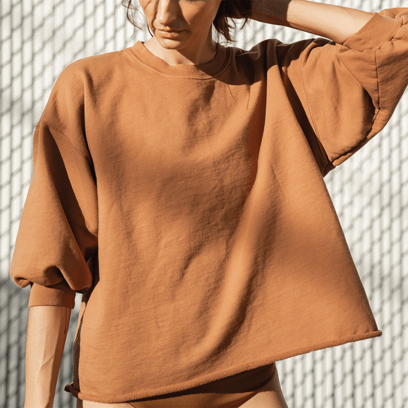 Sports & Rec Sweatshirt - Tan Lines (Brown)
