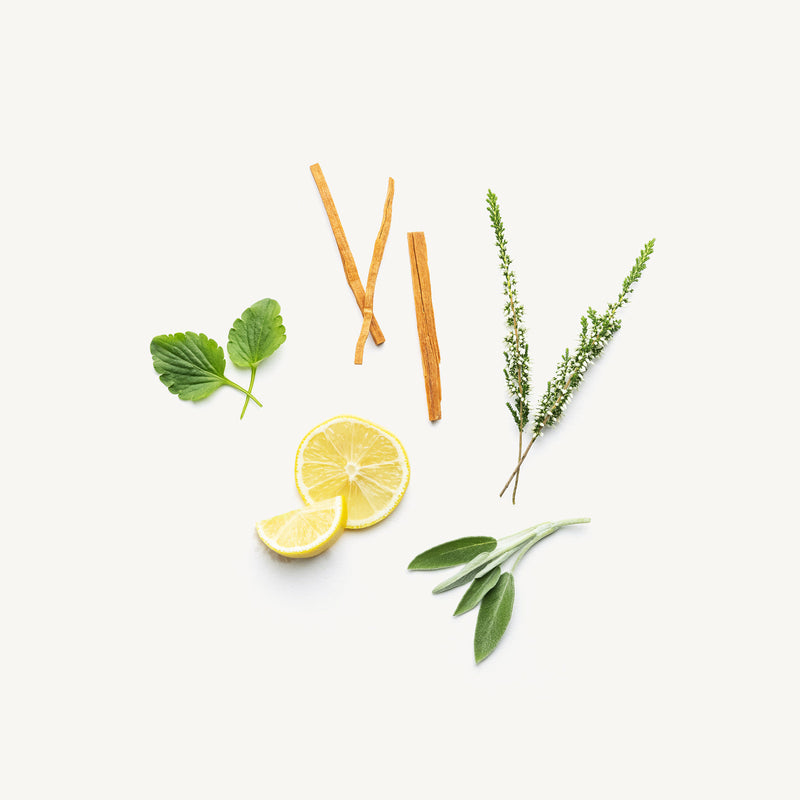 Havana - natural deodorant